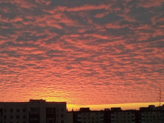 зима в Тибидохсе