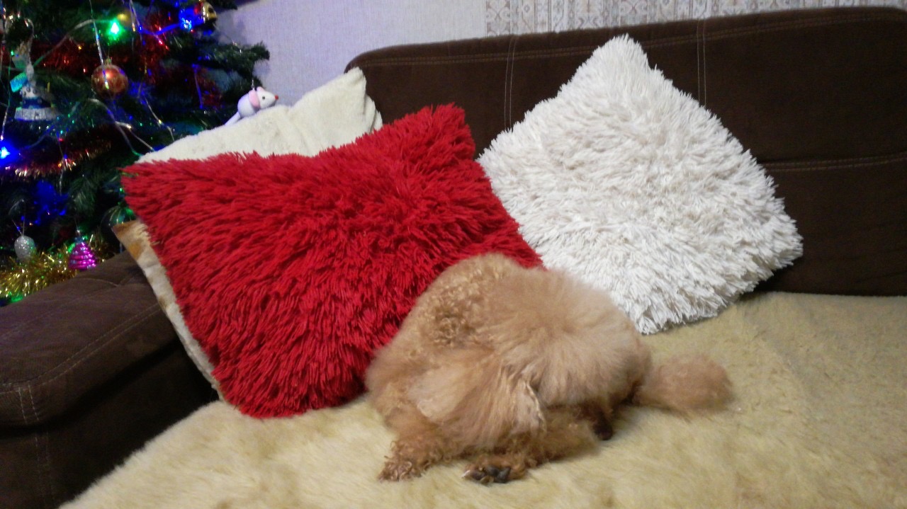 6C134296-3104-4595-AFE7-6BCA6517C15E