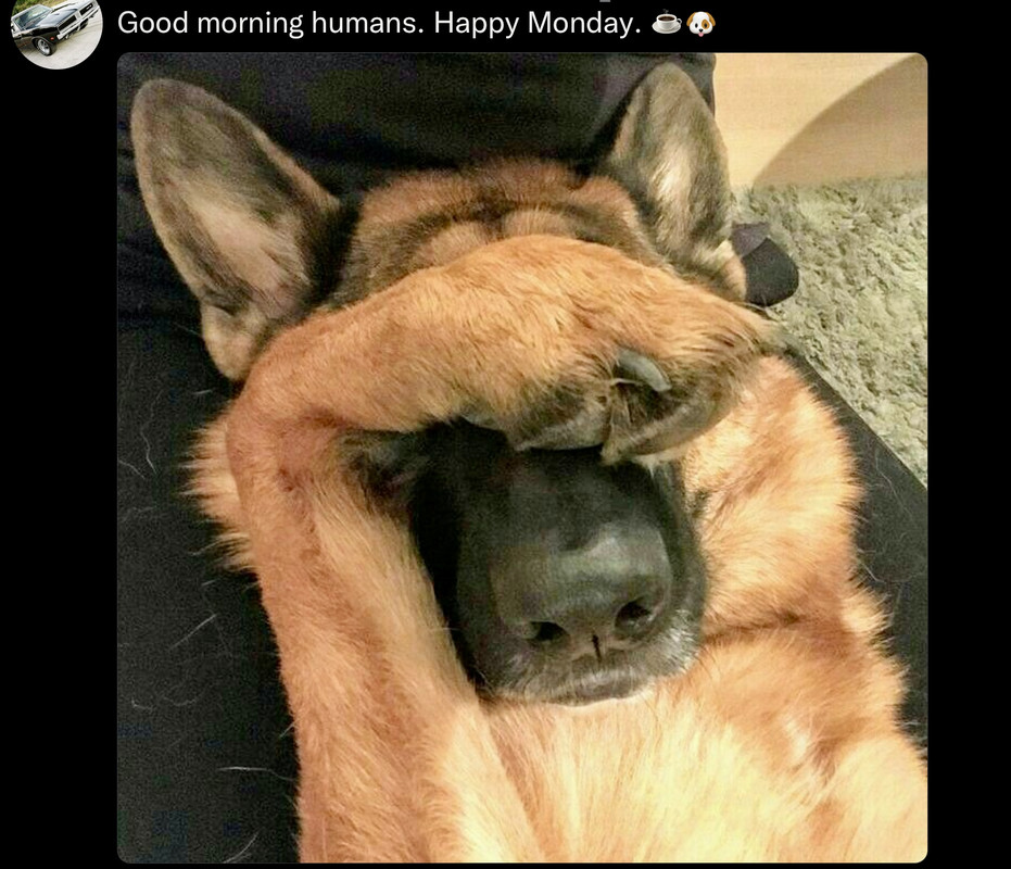 03B0B7F4-CE03-45D1-B179-7355B2CA4B3A