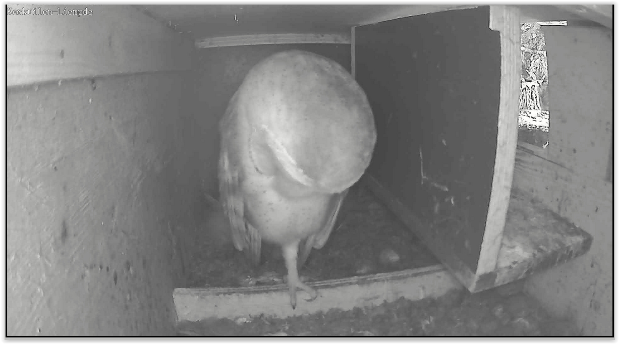 Screen Shot 05-20-22 at 09.51 AM