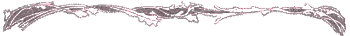 Divider. Do not use