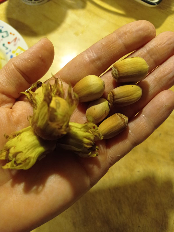 WhatsApp Image 2025-01-17 at 18.48.09 (1)