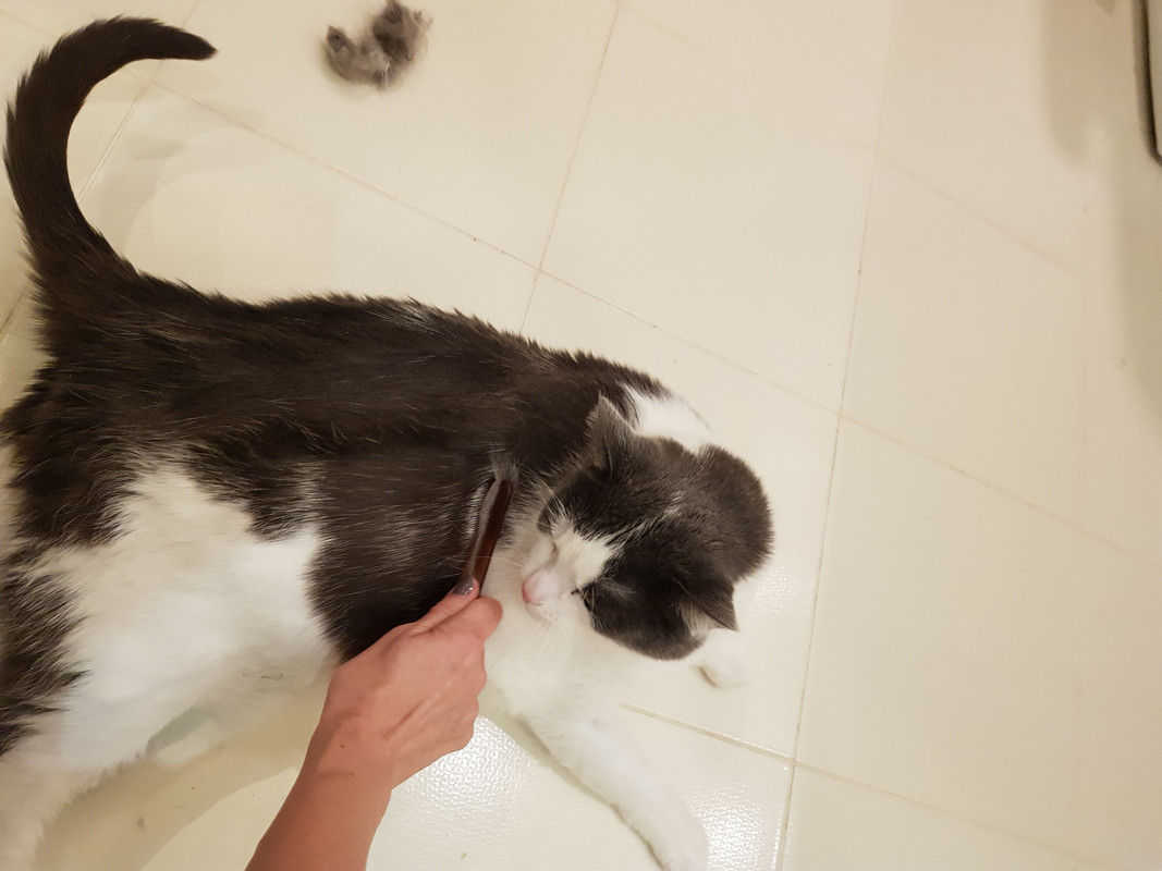 20191208-110640.jpg