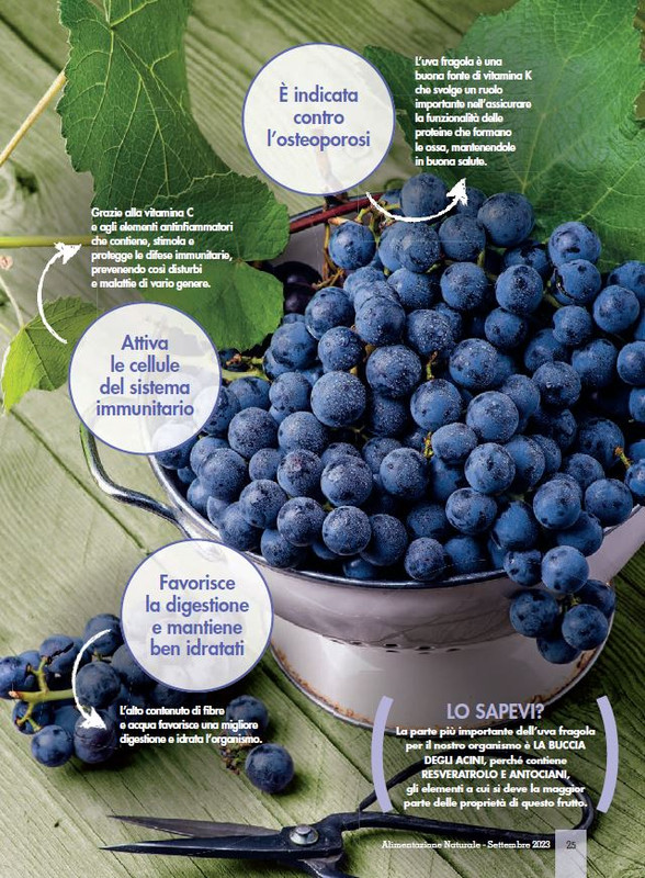 Alim Nat Set 2023 (4)