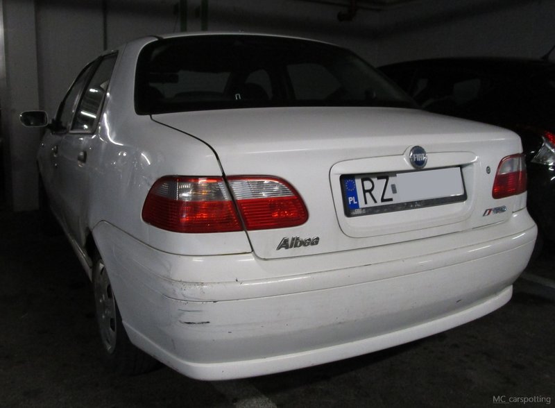 IMG-3529.jpg
