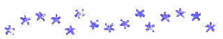 blue flower