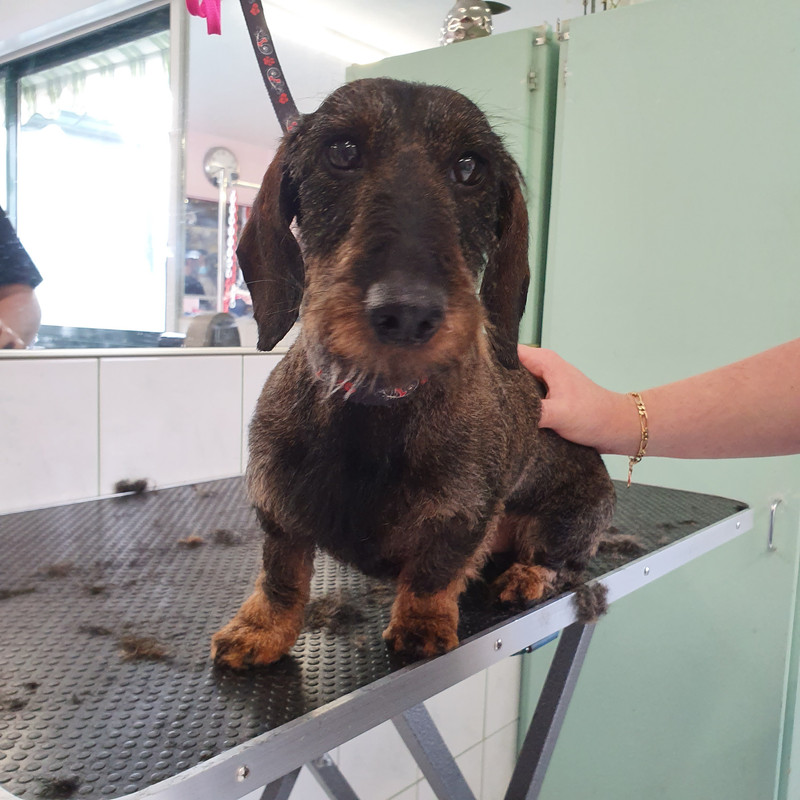 [Image: 20210727-144139.jpg]