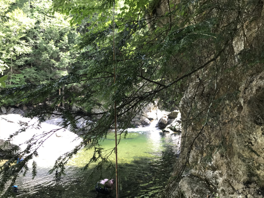 99BE0025-415C-4B34-BECE-C904C5E596E4