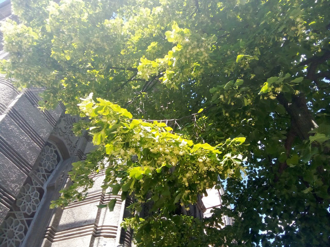 photo_2025-05-31 5.25.01 пп