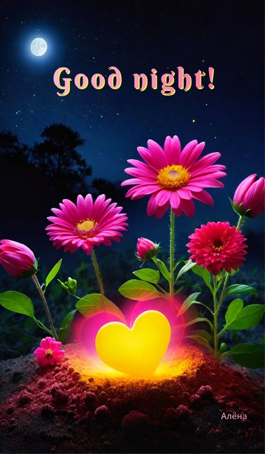 nightyu
