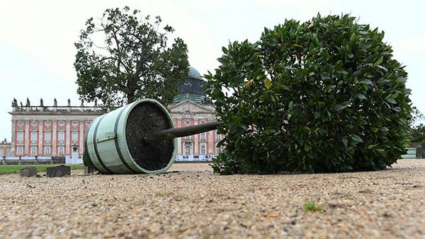 В классе «Суперспорт» в этом году пронесся шторм В классе «Суперспорт» в этом году пронесся шторм