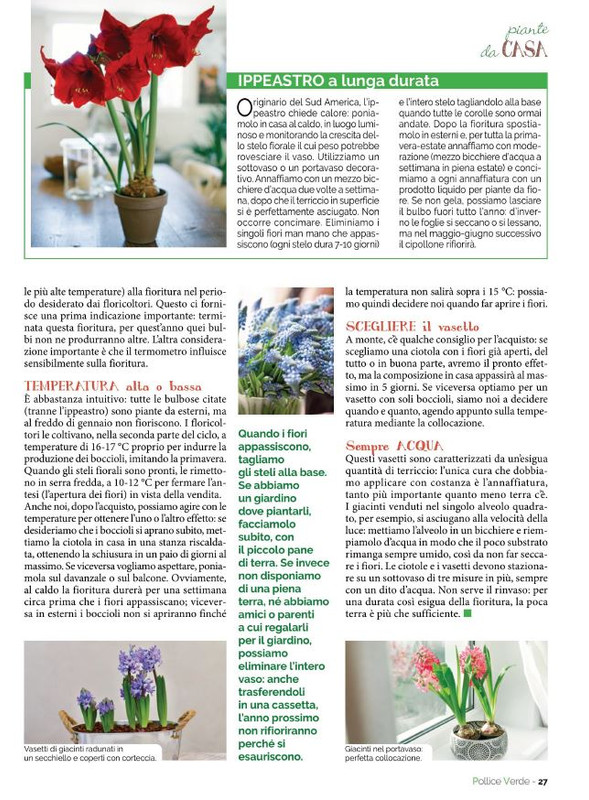 Pol Ver Gen 2023 (4)