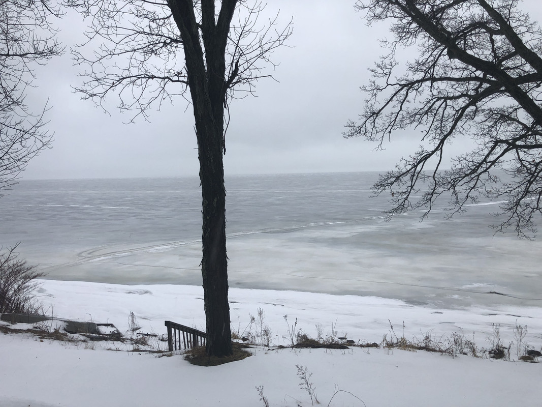 9105C091-D3A7-4807-8AB1-616DB159C4AC