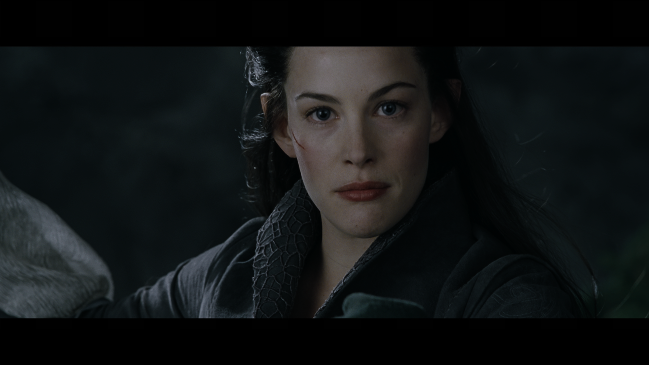 The Lord of the Rings- The Fellowship of the Ring (EXT.) PT. 1.mkv_snapshot_01.22.34_[2020.12.05_22.