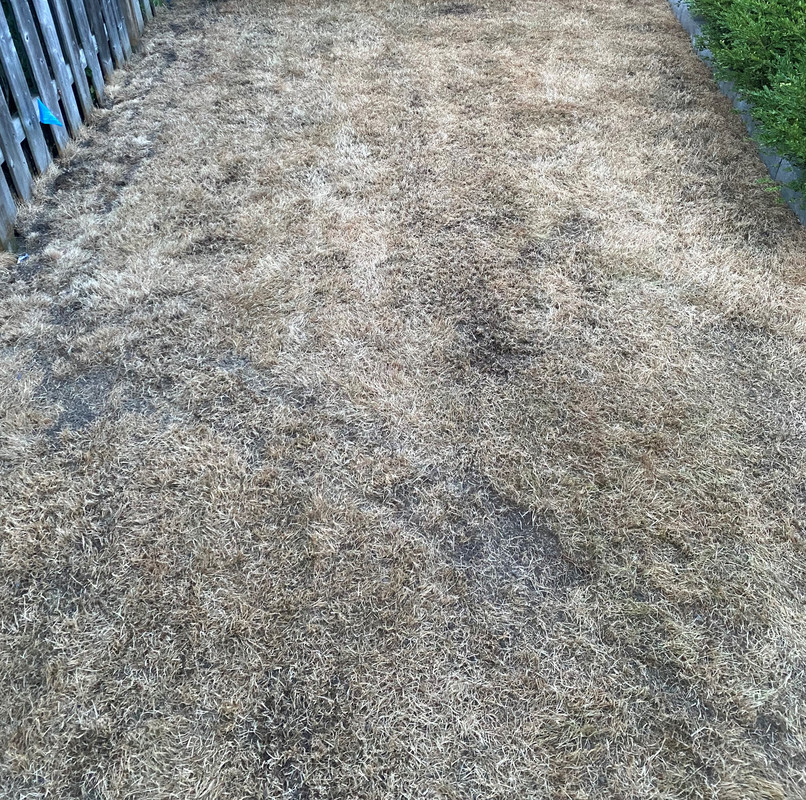 Photo 2022-08-07, 8 35 33 1PM