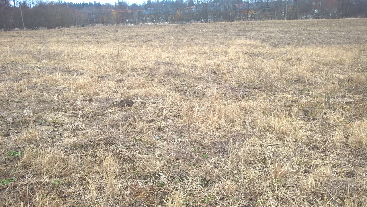 WP_20160324_14_47_30_Pro