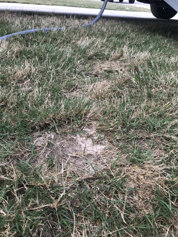 24274A35-EA16-402A-868B-B53167A9BD9A