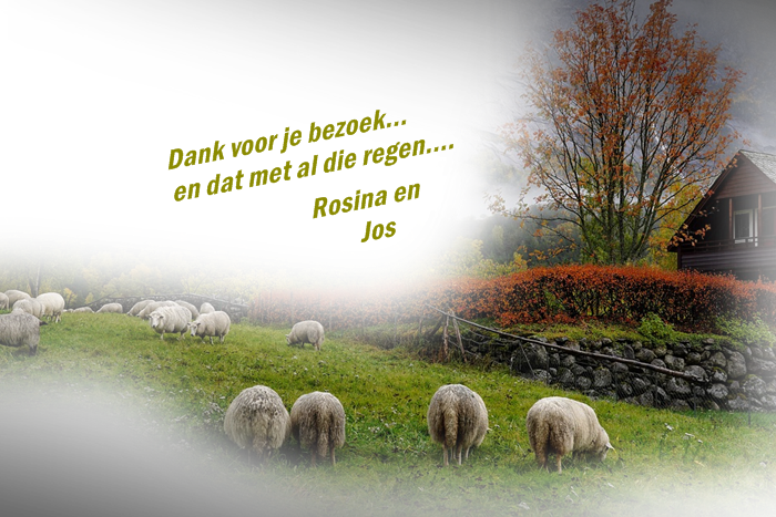 welkom opblog Bunic Jos