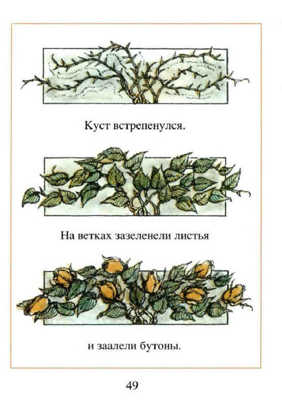 36e9e02b6e51d1367d2864a3a555ad25-51
