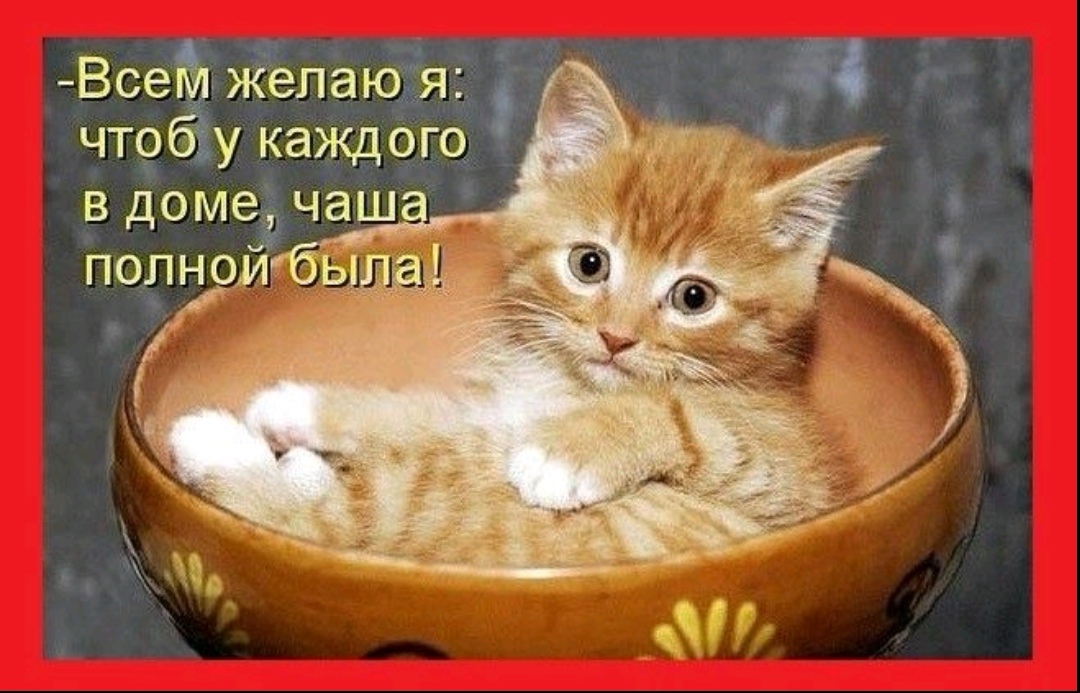 Screenshot-20221208-095911-com-viber-voi