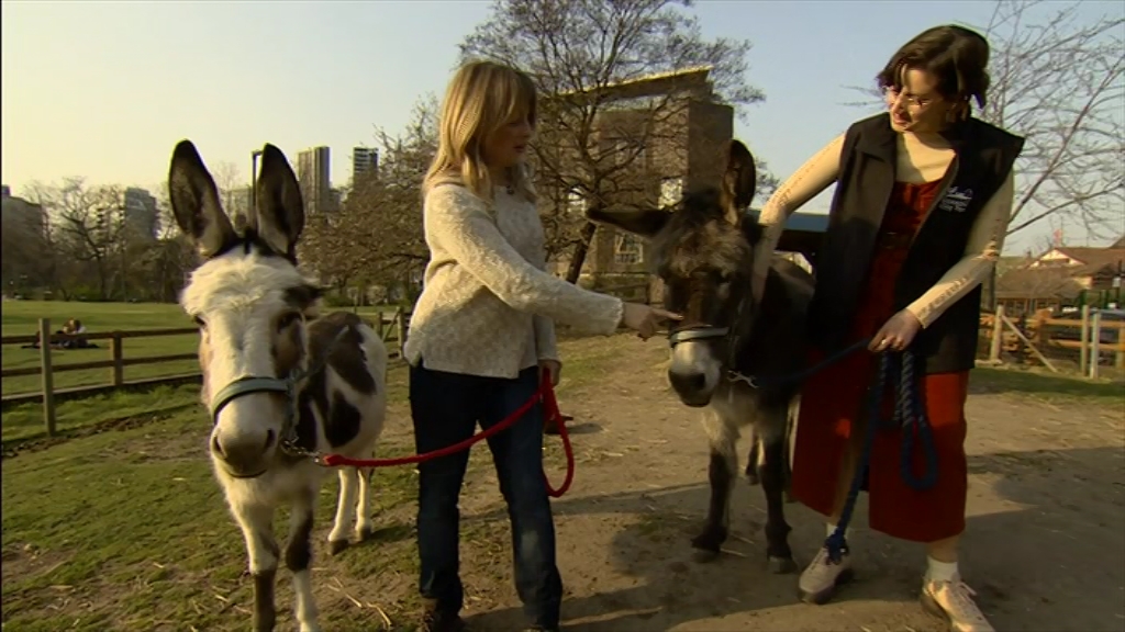 BBC London News_20220324_18301900.ts_snapshot_23.21.344
