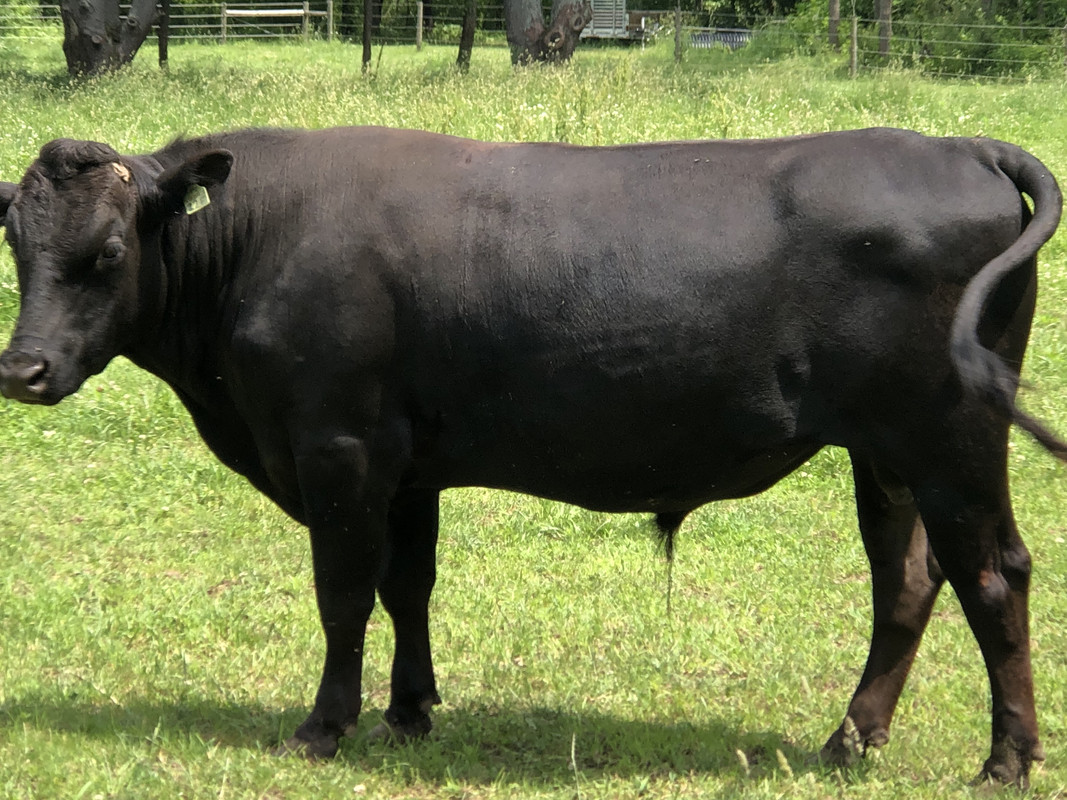 09984403-2B65-43C5-BD60-BB698D4A42AD