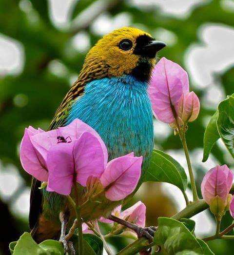 [Image: 195481403-5606512612753042-341593634665513116-n.jpg]