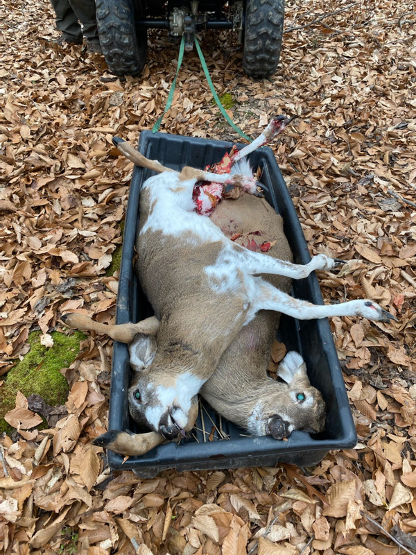 400822EE-0285-4C4A-BCA8-8024B0083C11