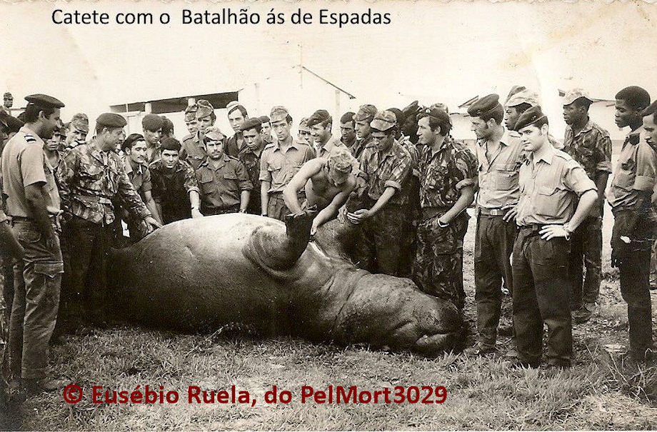 10882179-1524377017834102-993462215802356704-n