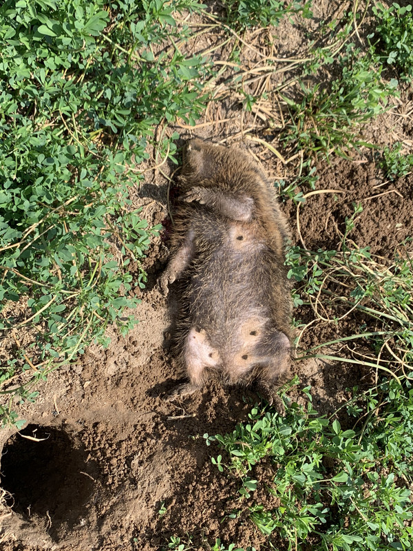 659A56A9-E2DD-44D0-9869-EDE43C37BBBE