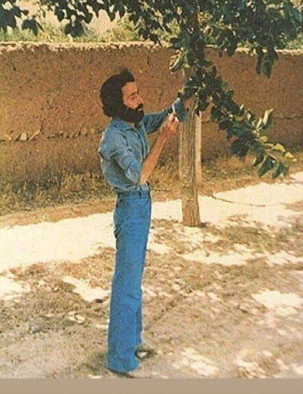 ‏سهراب سپهري به بدنش كم كم ٥٠٠ جلسه اسكات بدهكاره