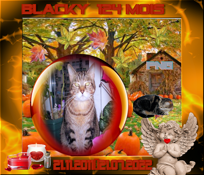 BLACKY-124-MOIS