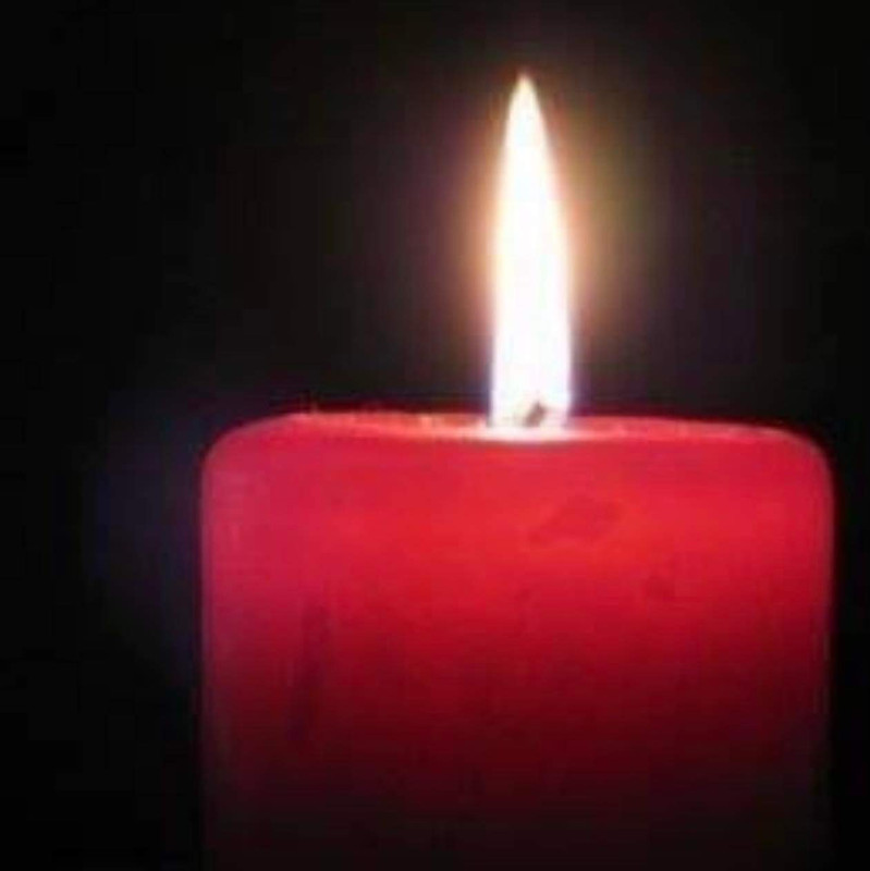 [Image: FB-IMG-1674737110402.jpg]