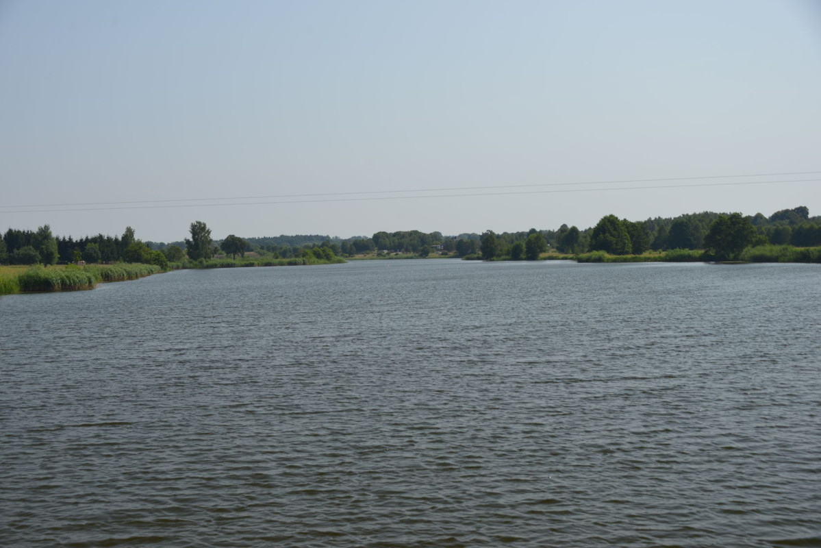 DSC-0056.jpg