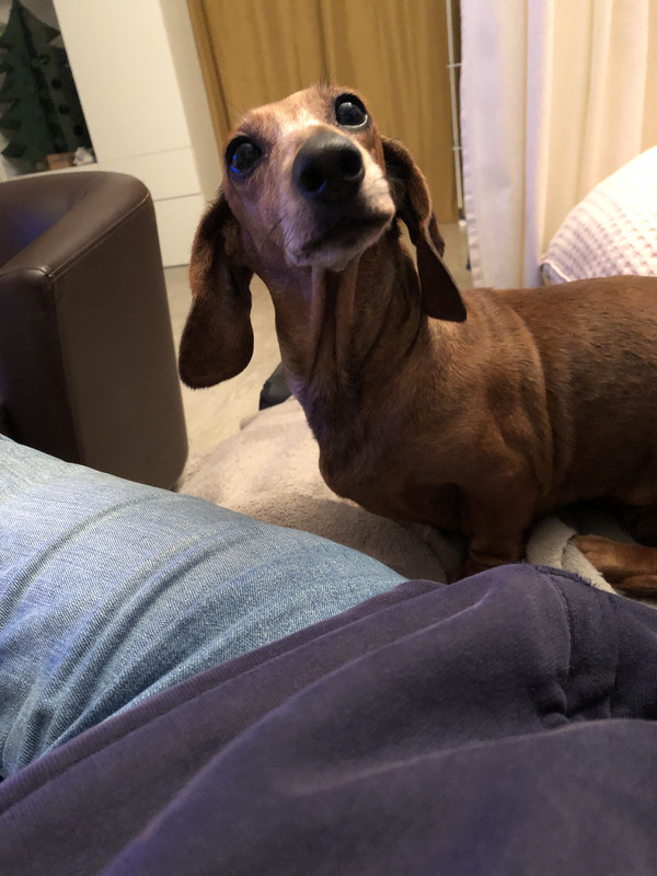 [Image: IMG-2874.jpg]