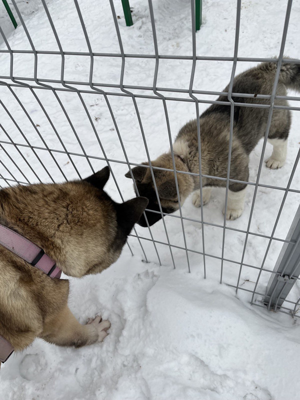 FB3A6758-AEAE-4687-9F41-3C25058B47A5