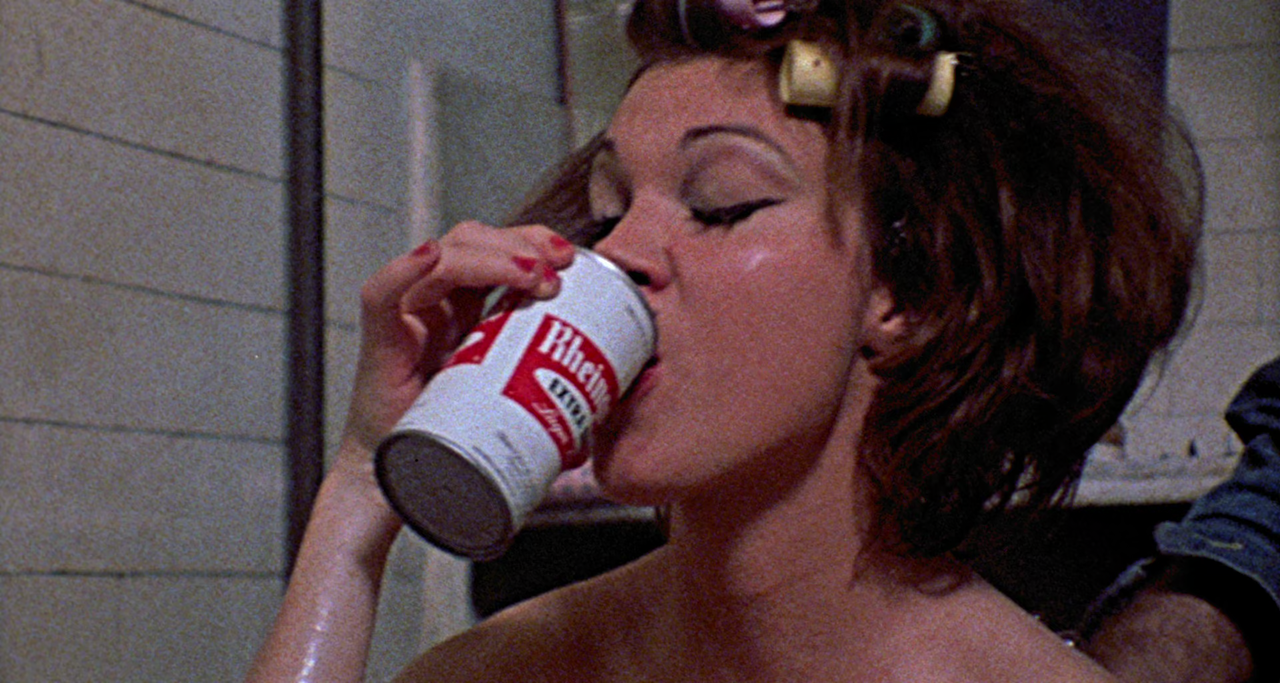 The Last House on the Left (1972) (1080p BDRip x265 10-bit - Erie)[TAoE]21