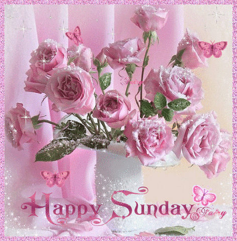 SUNDAY-dimanche-41