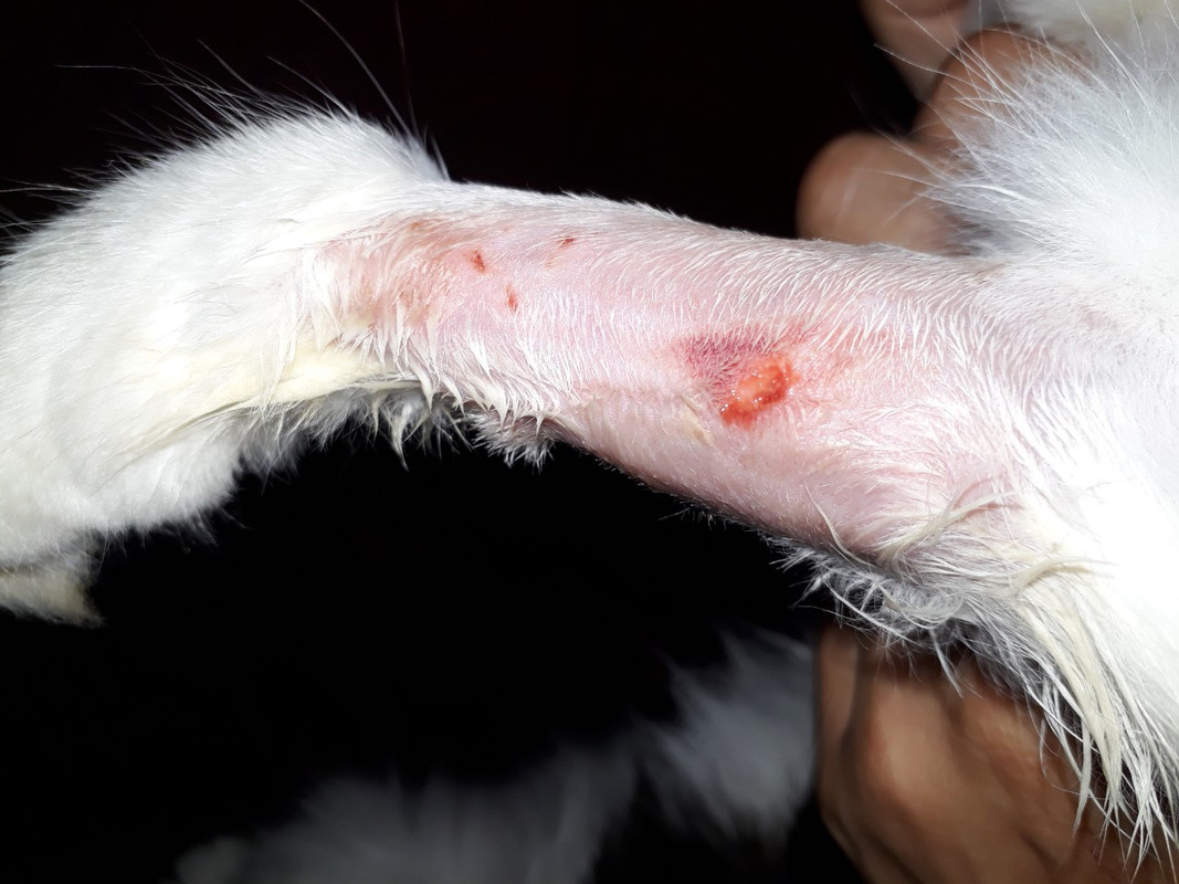 изображение_viber_2019-07-22_22-30-10