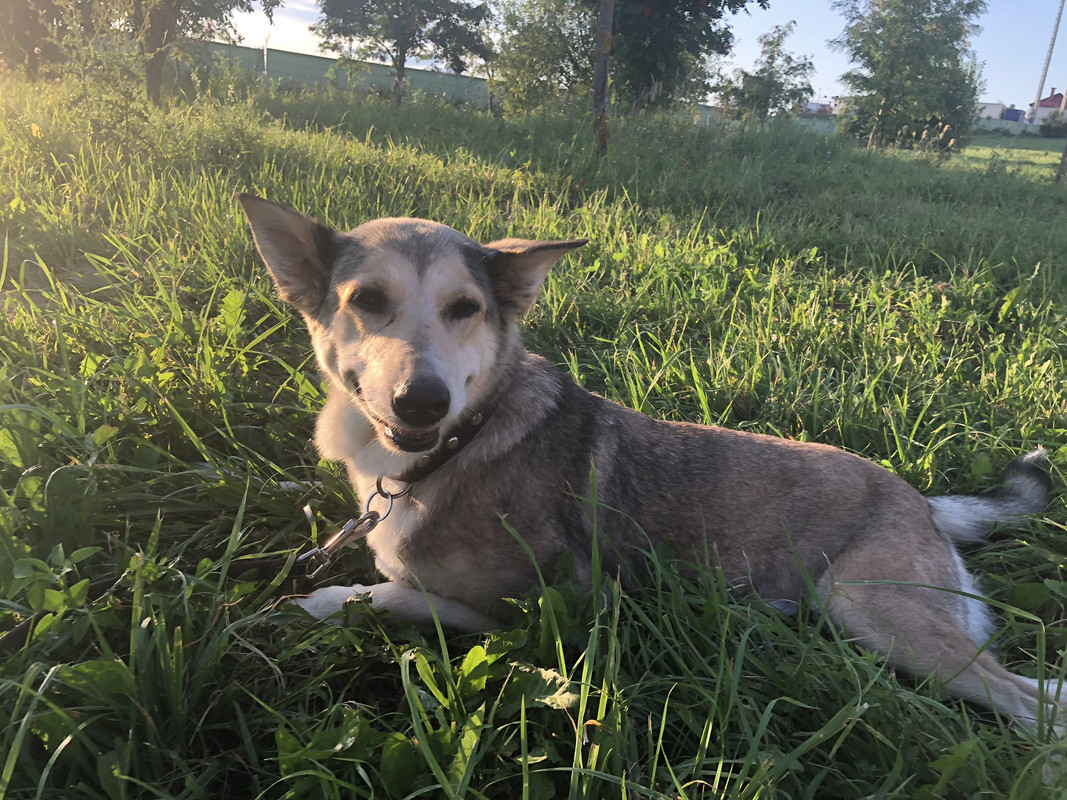 8E07BC27-1884-4C48-A5E7-BF9110ED9FD5