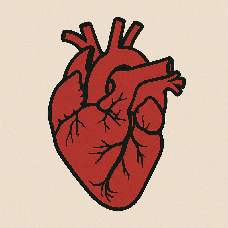 5C42A2E6 ED2A 439F B683 6494FB992043