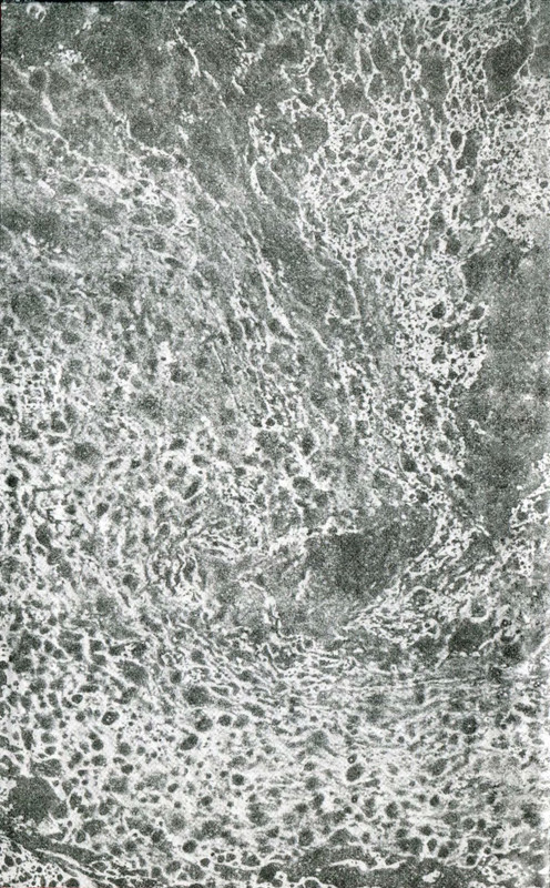 p0002