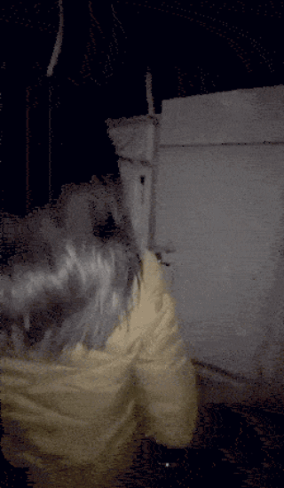 34.gif