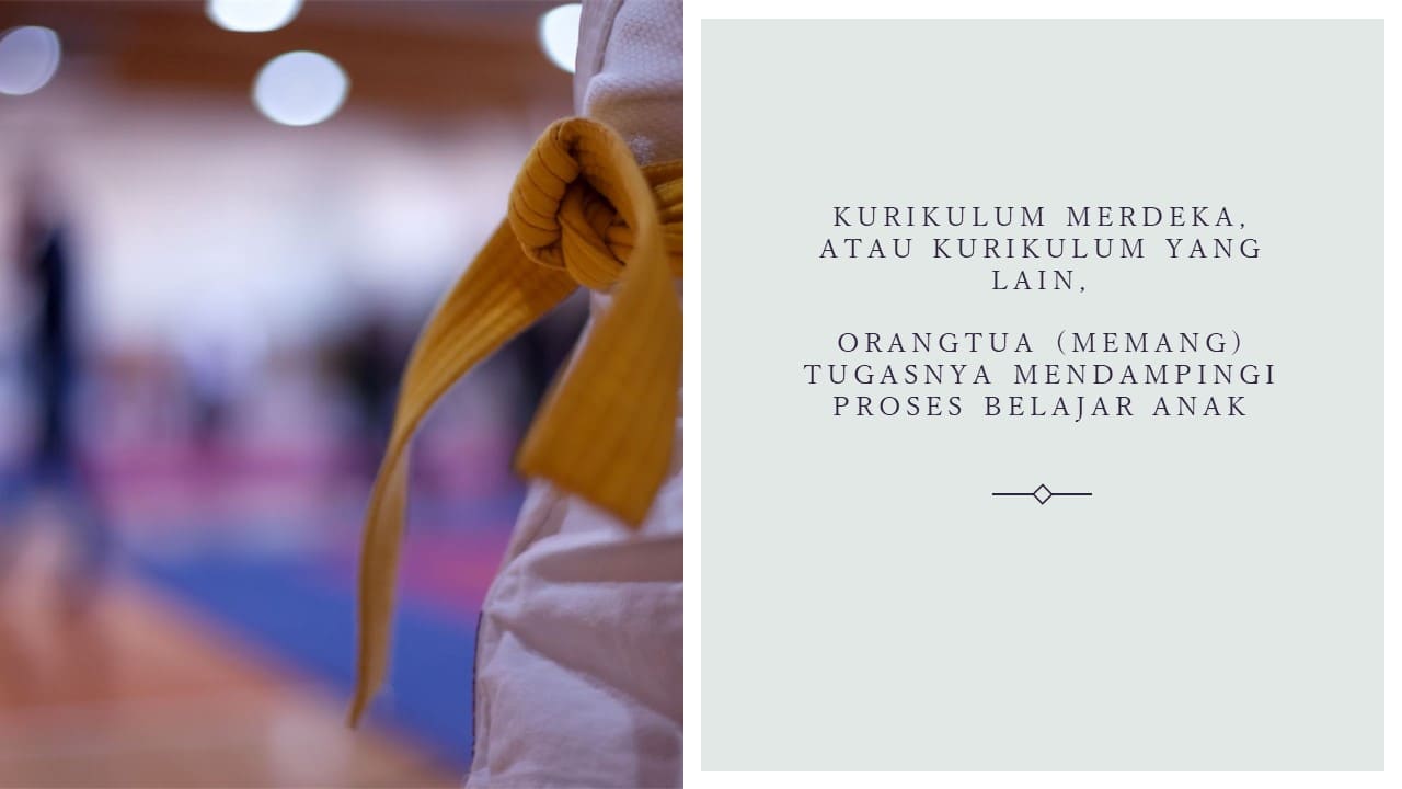 Ibu Penggerak Sidina