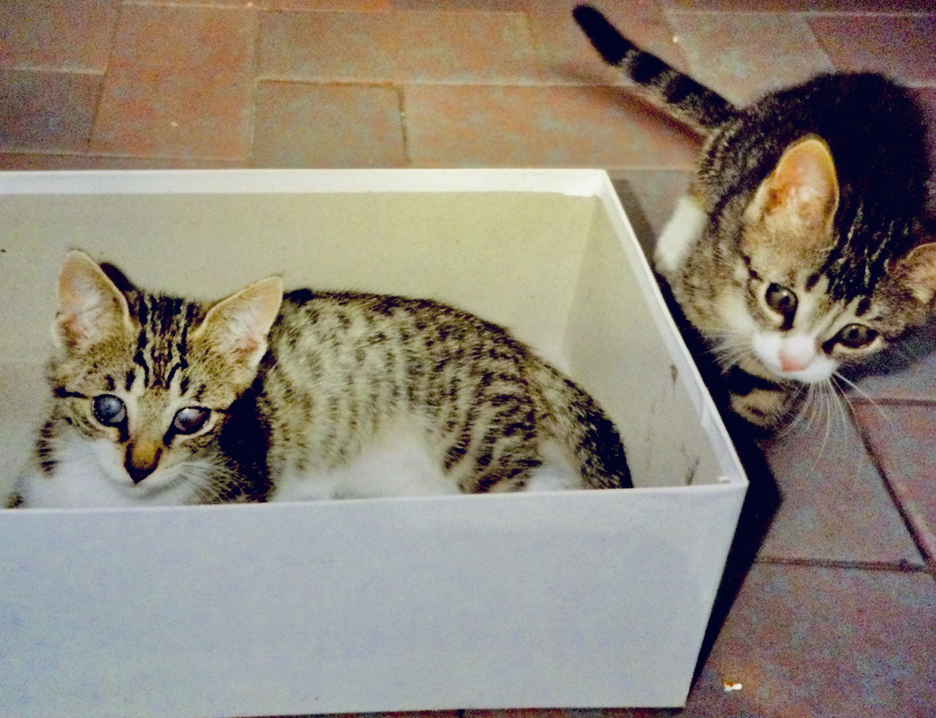 7612FBFD-E5B5-4C44-8FBA-48541EEF0EE3