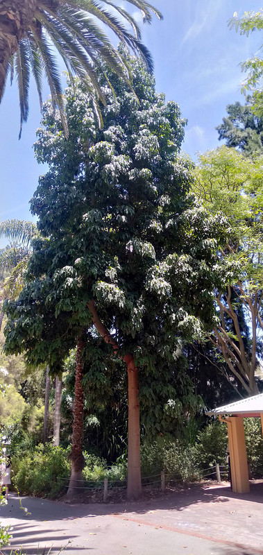 IMG20231225120426