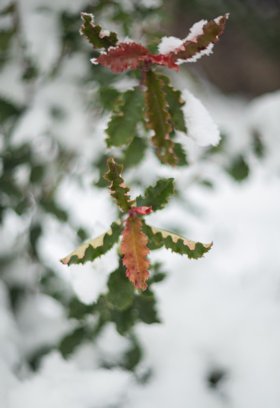 IMG-c7c6fc499bc42c97d756c4a336750fbe-V