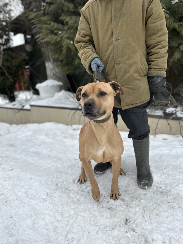 D7719550-96F5-4006-9BC6-D00168E663CC