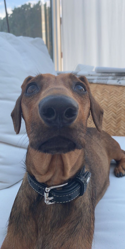 [Image: 0-D63-ADA8-525-B-4-E5-C-BA05-BDD6-BF0-FBFF0.jpg]