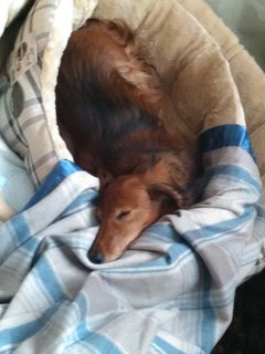 [Image: IMG-20210113-154126.jpg]